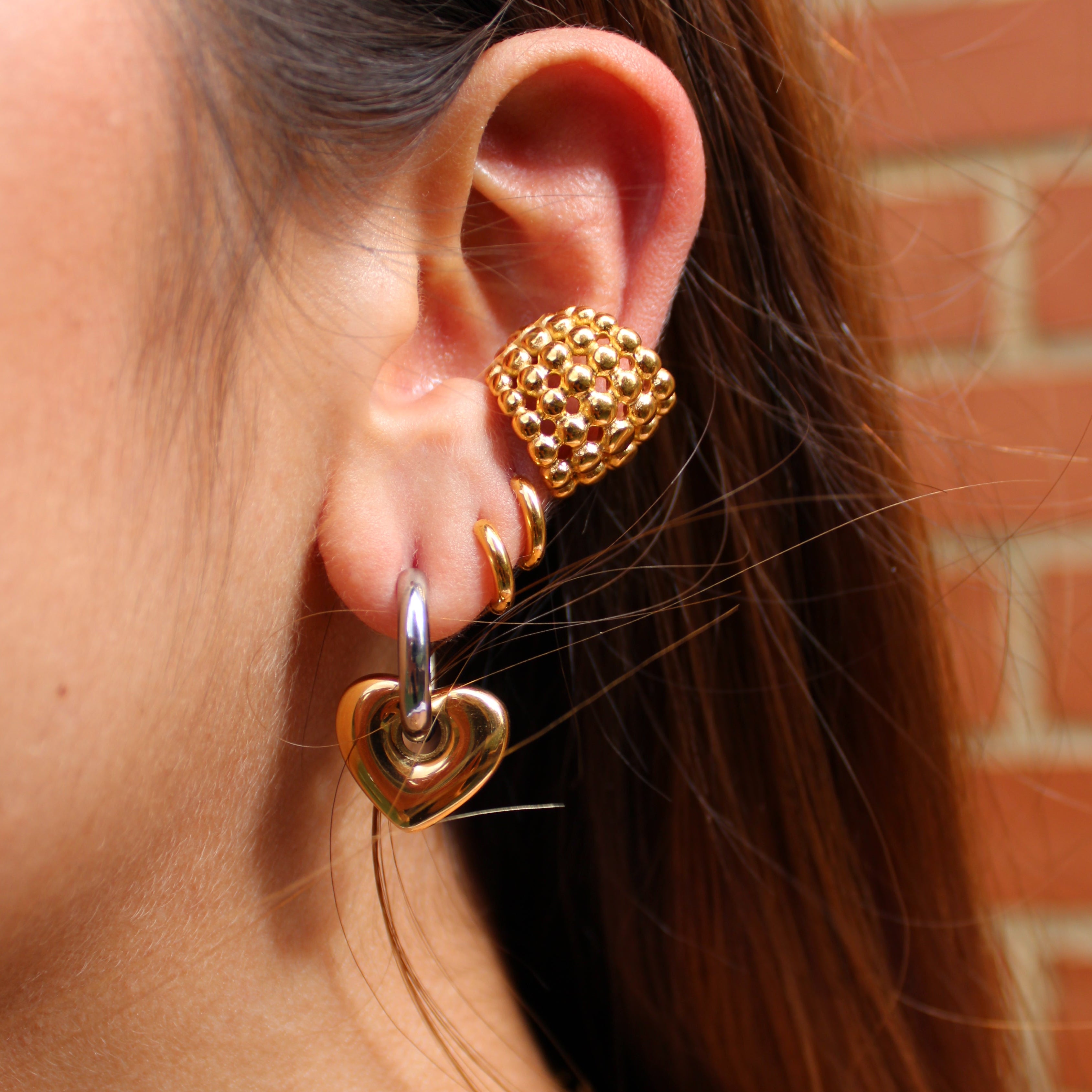 ARETES BICOLOR CORAZÓN PAR