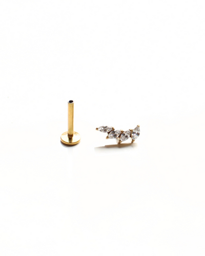 Labret alargado en titanio pétalos con circonitas